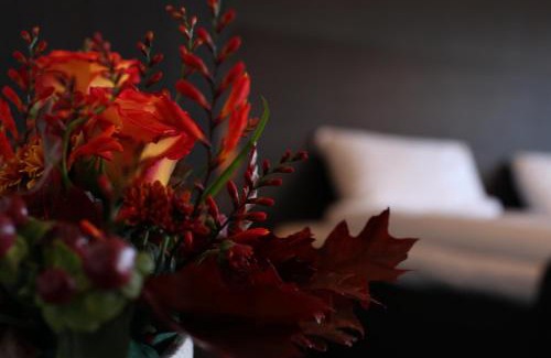 Ektorp Hotel | Nacka Stadshotell