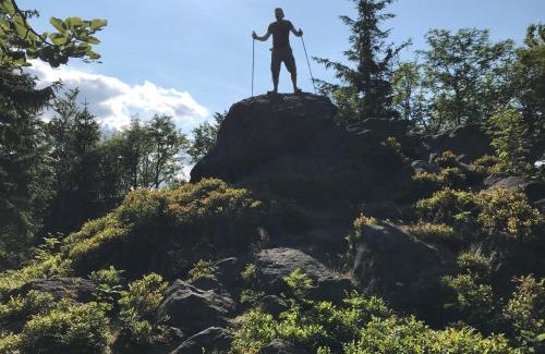 Nowa Ruda Casa | Nad Sowiogorskim Potokiem