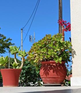 Gefira Mpania Casa | Nafpaktos The country home