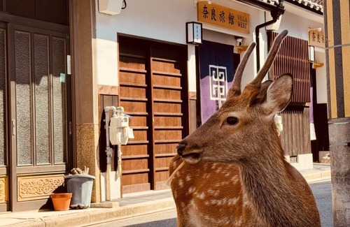 Nara Casa | Nara-Ryokan Villa West