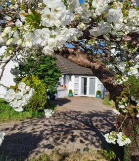 Cultra Apartamento | Nara Seaside Retreat