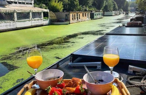 Regent's Park Otro | Narrowboat and Canal Moorings