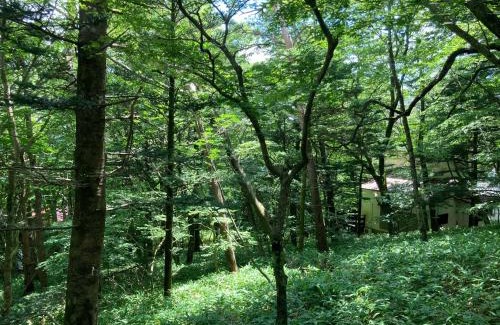 Nasu Casa | Nasu Cottage58 -那須 コテージ58-