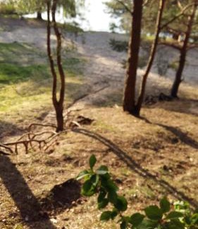 Kotzen Apartamento | Natur-Freude-16