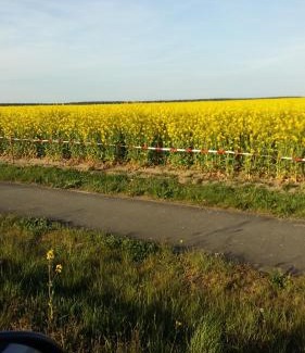 Kotzen Apartamento | Natur-Freude-19p