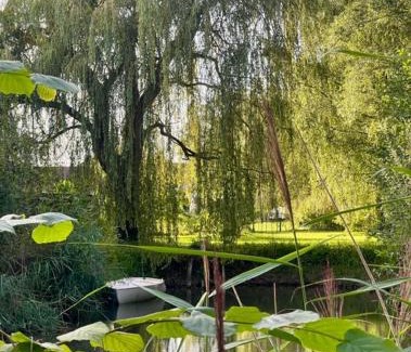 Saint-Amand-les-Eaux Apartamento | Naturaë Amentes Studio Nid douillet