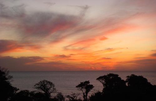 Sado Hotel | Natural Mind Tour guest house - Vacation STAY 23292v