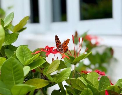 Great Exuma Casa | Natural Mystic Exuma