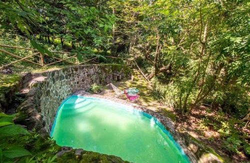 Miacatlan Casa | Natural Retreat & Pet-Friendly Escape