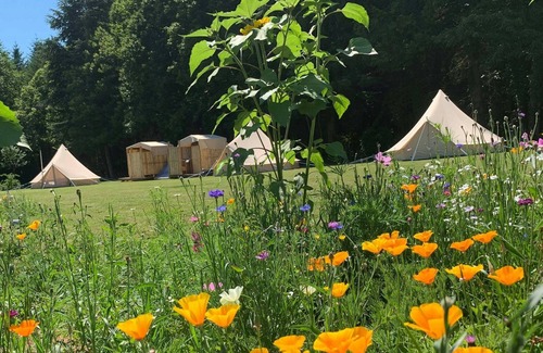 Le Lindois Alquiler De RV | Nature filled family eco-retreat