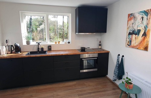 Barchem Casa | Nature house Boscoso with eletric bikes - 80m2 in the woods