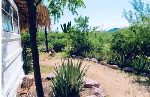 La Paz Cabina | Nature tiny house overlooking La Paz