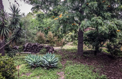 Fairbanks Ranch Casa | Casa grande, Rancho Santa Fe / Carmel Valley