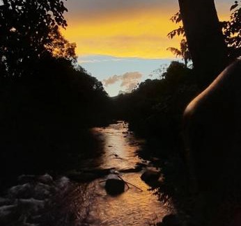 Madikeri Otro | Nature river camp