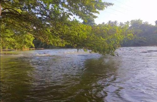 Alawwa Casa | Nature's Hideout Holiday Home