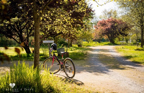 Gourge Chalet De Esquí | Naturaleza, Piscina, Puy du Fou: chalet para 6 personas