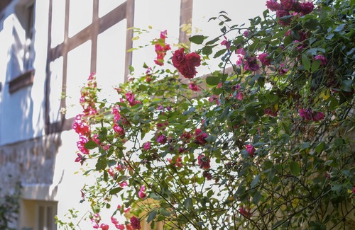 Schoepstal Condominio | Nature vacation apartment Schöpstal Paterre