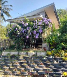 Ranong Casa | NatureHome RimKhlong