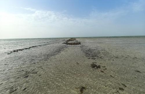 Al Gharbia Casa | NatureLand Beach Villa
