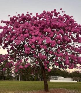 Aguas de Santa Barbara Casa | Natureza, Paz e Conforto