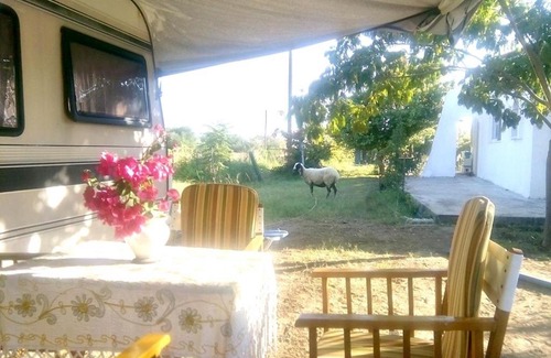 Afandou Casa | Naturfarm Rhodos