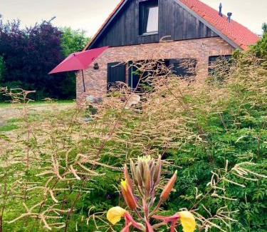 Municipality of Dinkelland Casa | Natuurhuis Marke Lemselo 80 m2