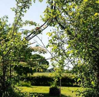 Breedenbroek Otro | Natuurhuisje De kleine Varenhorst
