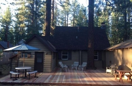 Bijou Pines Cabina | Naughty But Nice, Knotty-Pine Cabin