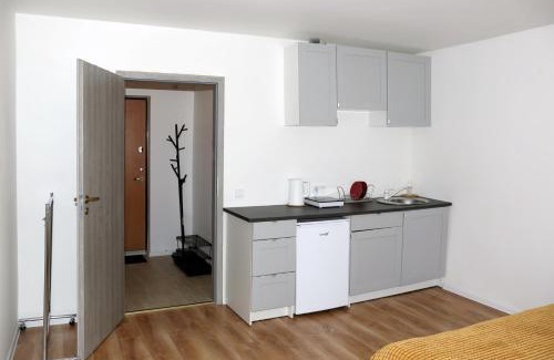 Visaginas Apartamento | Naujai suremontuotas butas miesto centre.