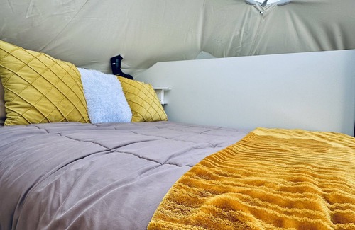 Pomquet Complejo | Nautical Dome