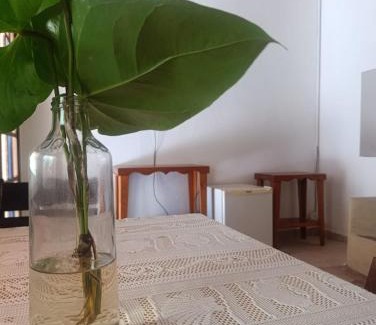 Pati Valley Cabina | NAVHI - Espaço Multicultural