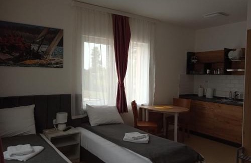 Palic Hotel | Navigator