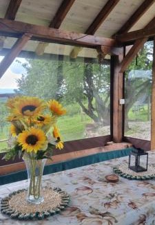 Mladenovac Casa | NaVisu avlija