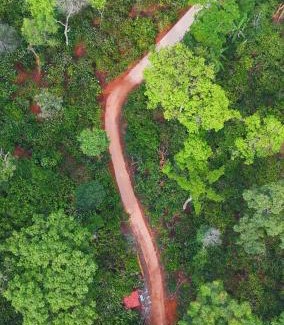 Virarajendrapet Casa | Navut Homestay - Serenity Among Coffee Plantations