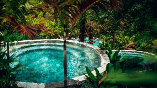 Palma Otro | Nayara Tented Camp