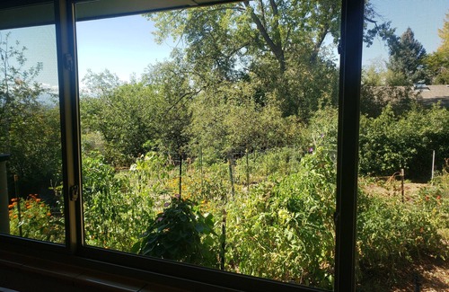 Harvey Park Casa | Near-net-zero home with views, lake, pickleball & basketball courts, playground
