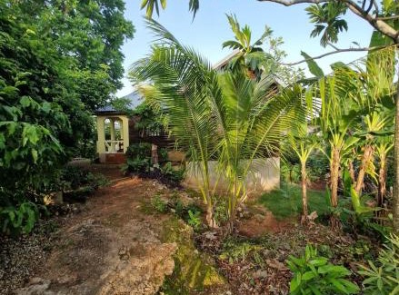 Negril Casa | Negril Humble Cabin