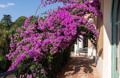 Grasse Villa | Neo-Provencal perfumer's villa with listed park and breathtaking views