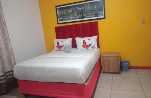 Parow Cama Y Desayuno | Neo & Ruks Guest house parow 1