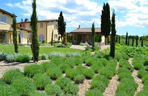 Sovicille Apartamento | Nero-Apartamento-Apartamento-Baño con ducha-Vista al Jardín