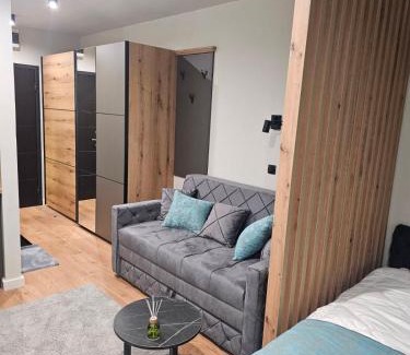 Kopaonik Apartamento | Nest 316 Bela Reka Kopaonik