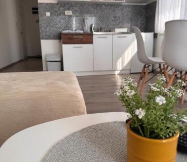 Veliko Gradiste Apartamento | Nest apartman