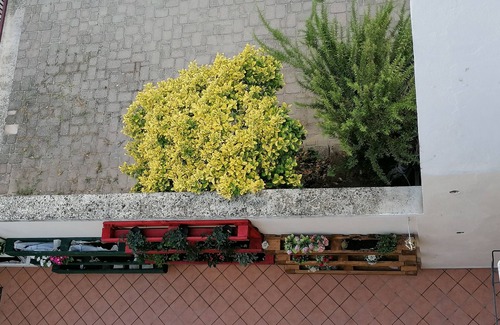 San Damiano dʼAsti Apartamento | Nest of Love