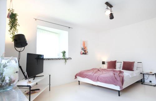 Unterstrass Apartamento | Nest - Wehntalerstrasse 13