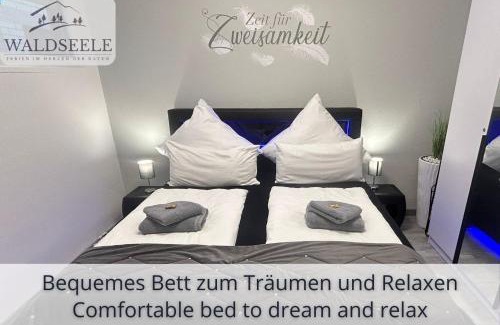 Schonach im Schwarzwald Apartamento | NEU Exklusives Apartment Waldseele mit Indoor-Pool, Sauna, top Lage und Ausblick in die Natur, Hunde willkommen
