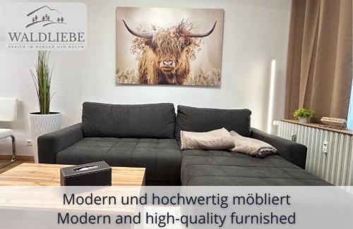 Schonach im Schwarzwald Apartamento | NEU Exklusives Apartment Waldliebe mit Indoor-Pool, Sauna, top Lage und Ausblick in die Natur, Hunde willkommen