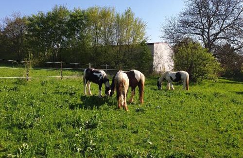 Gau-Weinheim Apartamento | NEU! FeWo Tinkerhof nähe Bingen