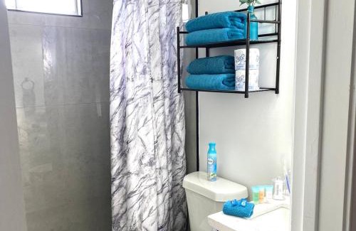 McAllen Apartamento | NEW! 2 minutes from Convention Center, Palms Crossing Shopping & South Texas College