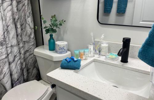 McAllen Apartamento | NEW! 2 minutes from Convention Center, Palms Crossing Shopping & South Texas College