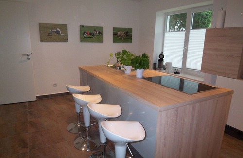 Geestland Apartamento | NUEVO 2015: Apartamento de 8 000 metros cuadrados con paseadores de perros, en Cottage, planta baja, 70 metros cuadrados